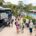 Hire Bus For Family Friendly Resorts Tour in Brisbane
