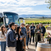 Best Guide to Exploring Canberra's Wineries For Tour Bus