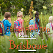 School-Field-Trip-Ideas-For-Brisbane