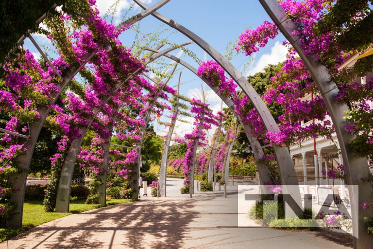 Best Bus Hire in Brisbane Guaranteed TNA Bus Hire